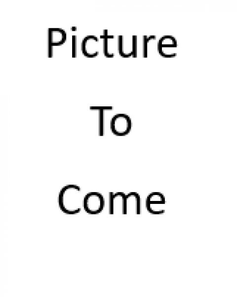 Coprosma lucida - Shining Karamu image